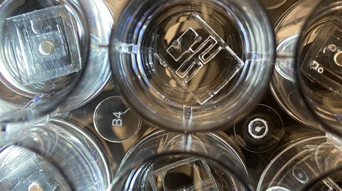 Read more: Laboratory of Implantable Microsystems Research – Hugh Lee